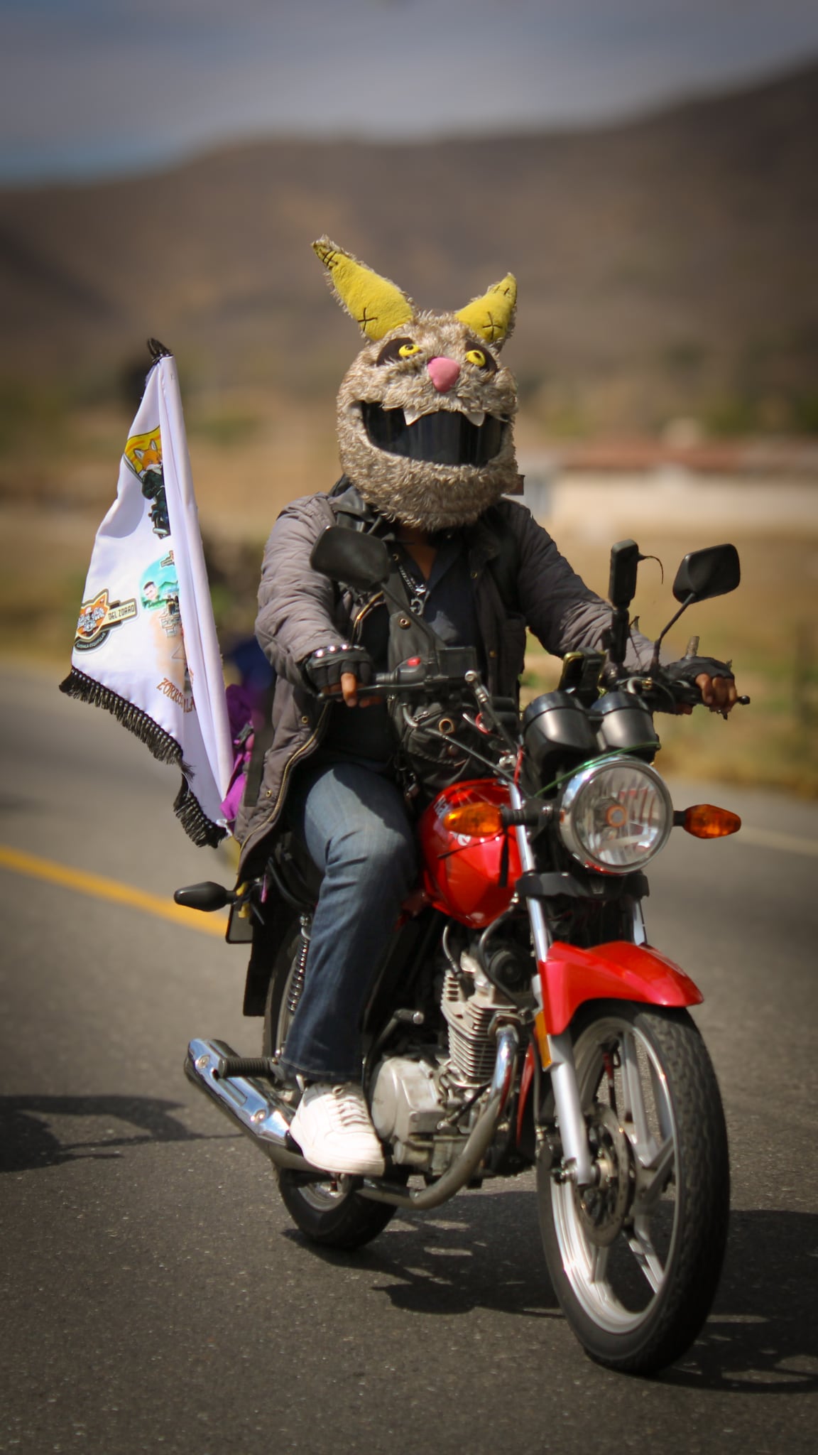 Caravana del Zorro 2026 #3